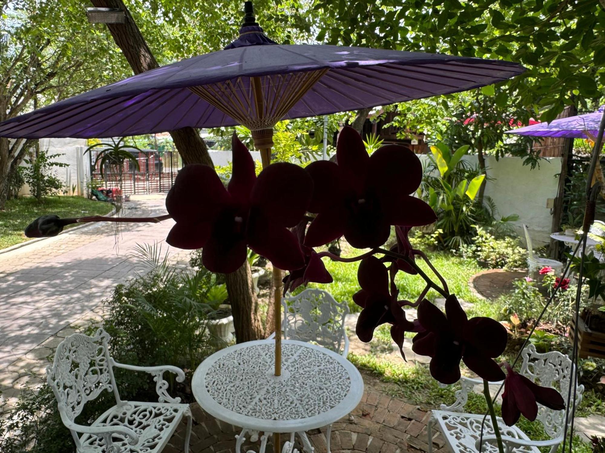 Chiang Mai Las Orquideas Resort Экстерьер фото