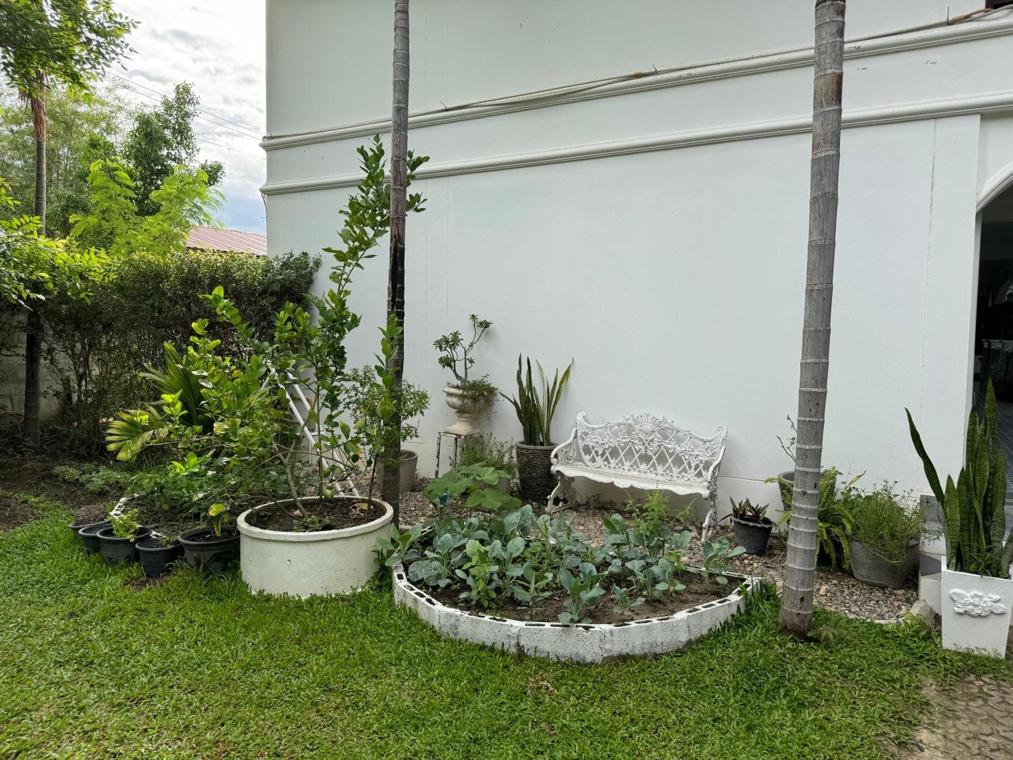 Chiang Mai Las Orquideas Resort Экстерьер фото